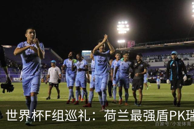 世界杯F组巡礼：荷兰最强盾PK瑞典犀利刀 日本短板明显